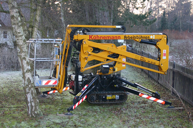 Baumfällung mit Arbeitsbühnen