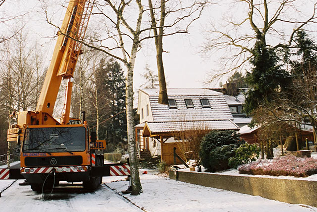Baumfällung mit Kran